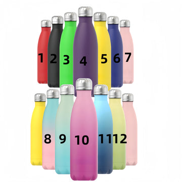 17 oz/500 ml Insulated Stainless Steel Sports water bottles